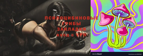 а пвп мука Вяземский