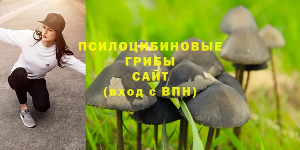 молекула духа Вязники
